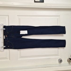 Hudson Girls Kids Skinny Back Flap Pocket Girls Sz 10 Jeans NWT